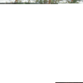 NuroClean image